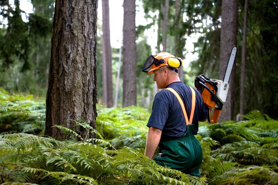 Коротко о нас